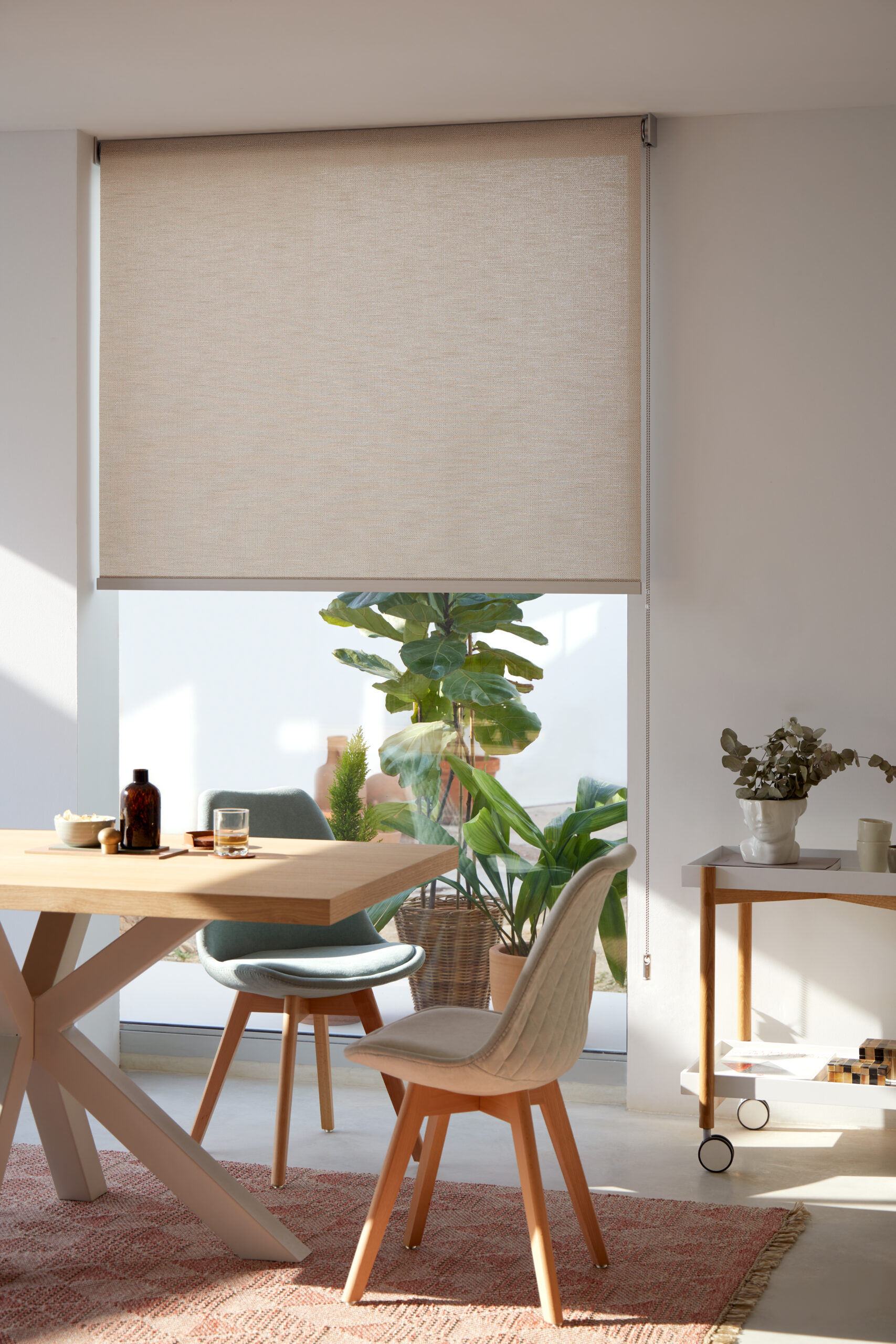 MN DERCORMED 2023 23B6A3489